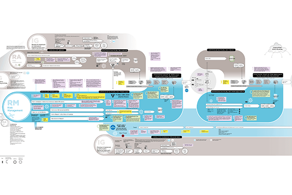 CMP β Case Management Process Architecture